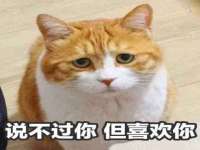 徐州耶底底亚商贸有限公司