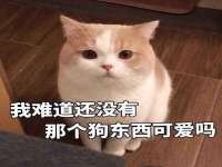徐州耶底底亚商贸有限公司