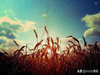 徐州耶底底亚商贸有限公司