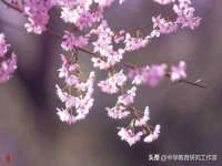 徐州耶底底亚商贸有限公司
