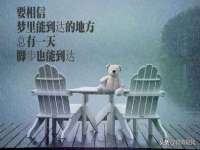 徐州耶底底亚商贸有限公司