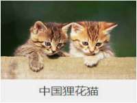 徐州耶底底亚商贸有限公司