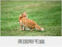 徐州耶底底亚商贸有限公司