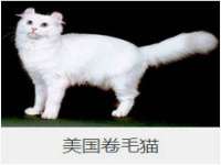 徐州耶底底亚商贸有限公司