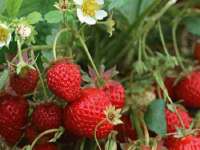 徐州耶底底亚商贸有限公司