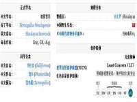 徐州耶底底亚商贸有限公司