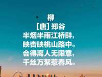 徐州耶底底亚商贸有限公司