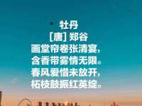 徐州耶底底亚商贸有限公司