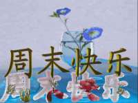 徐州耶底底亚商贸有限公司