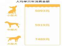 徐州耶底底亚商贸有限公司