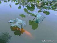 徐州耶底底亚商贸有限公司