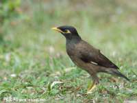 徐州耶底底亚商贸有限公司