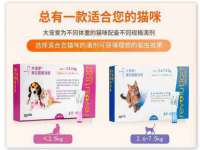 徐州耶底底亚商贸有限公司