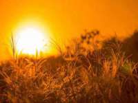 徐州耶底底亚商贸有限公司