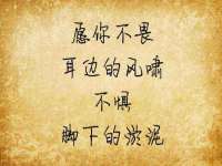 徐州耶底底亚商贸有限公司