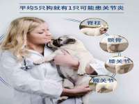 徐州耶底底亚商贸有限公司