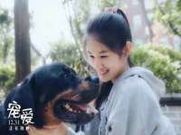 徐州耶底底亚商贸有限公司