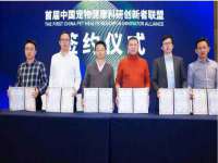 徐州耶底底亚商贸有限公司