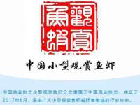 徐州耶底底亚商贸有限公司