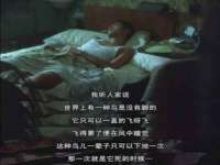 徐州耶底底亚商贸有限公司
