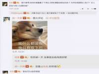 徐州耶底底亚商贸有限公司