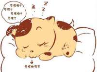 徐州耶底底亚商贸有限公司