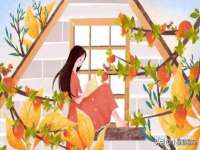徐州耶底底亚商贸有限公司