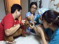 徐州耶底底亚商贸有限公司