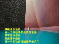 徐州耶底底亚商贸有限公司