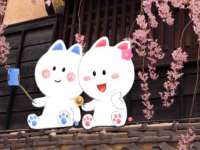 徐州耶底底亚商贸有限公司