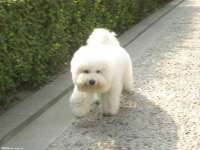 徐州耶底底亚商贸有限公司