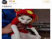 徐州耶底底亚商贸有限公司