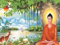 徐州耶底底亚商贸有限公司